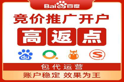 百度竞价公司成功案例揭秘：如何快速提升品牌曝光度